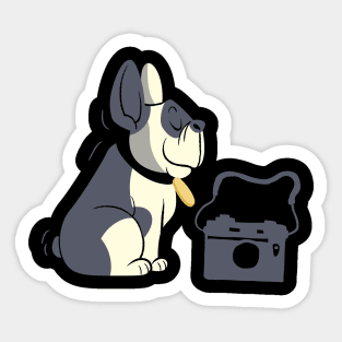 Dog Photography Sticker